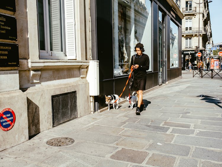 A Man Walking On The Street With His Dogs