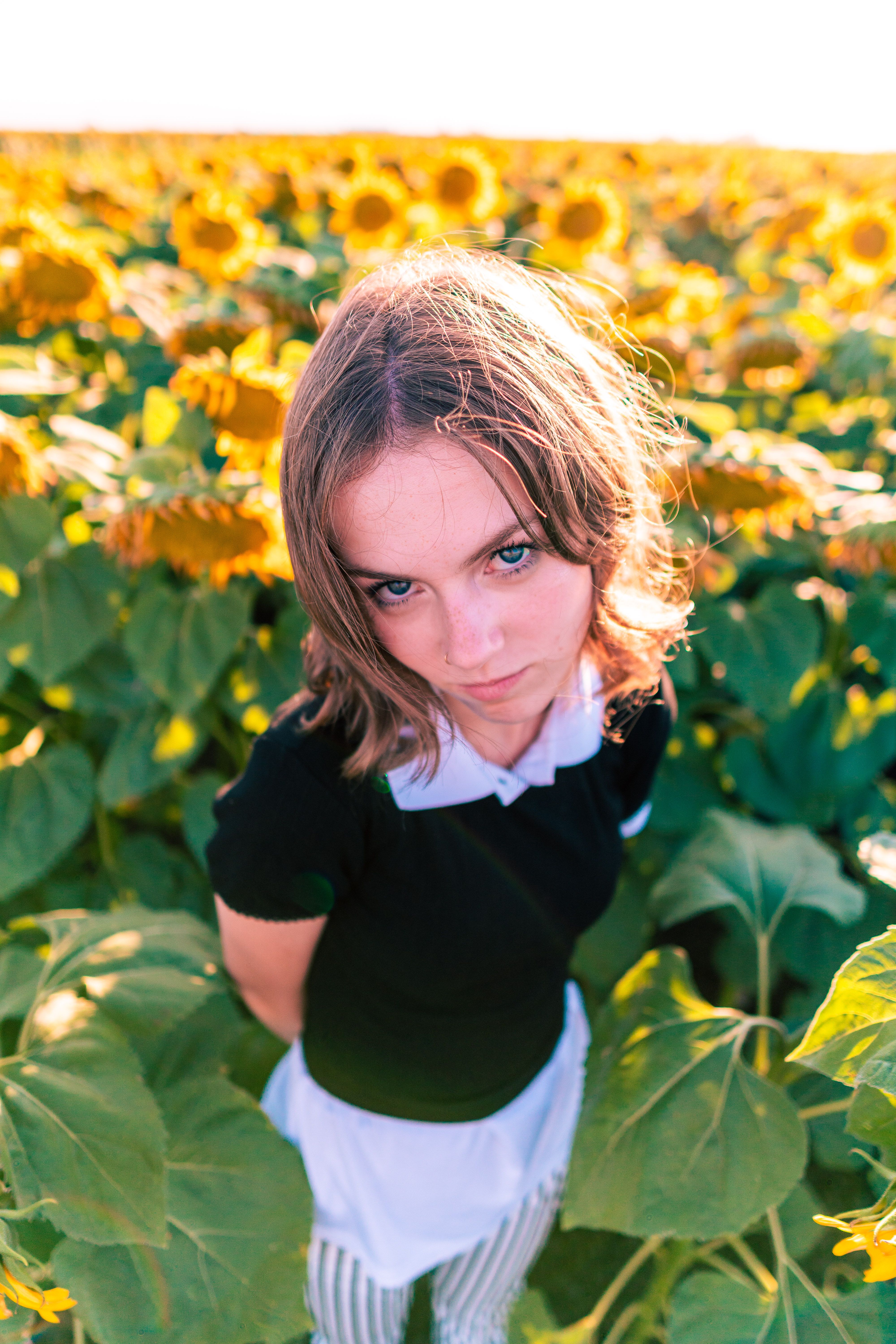 Woman in Black Shirt Standing on Yellow Sunflower Field · Free Stock Photo