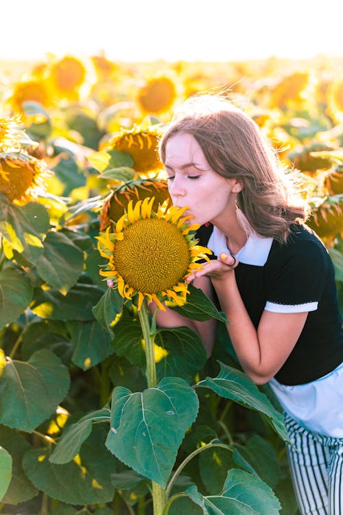 Woman Kissing a Sunflower