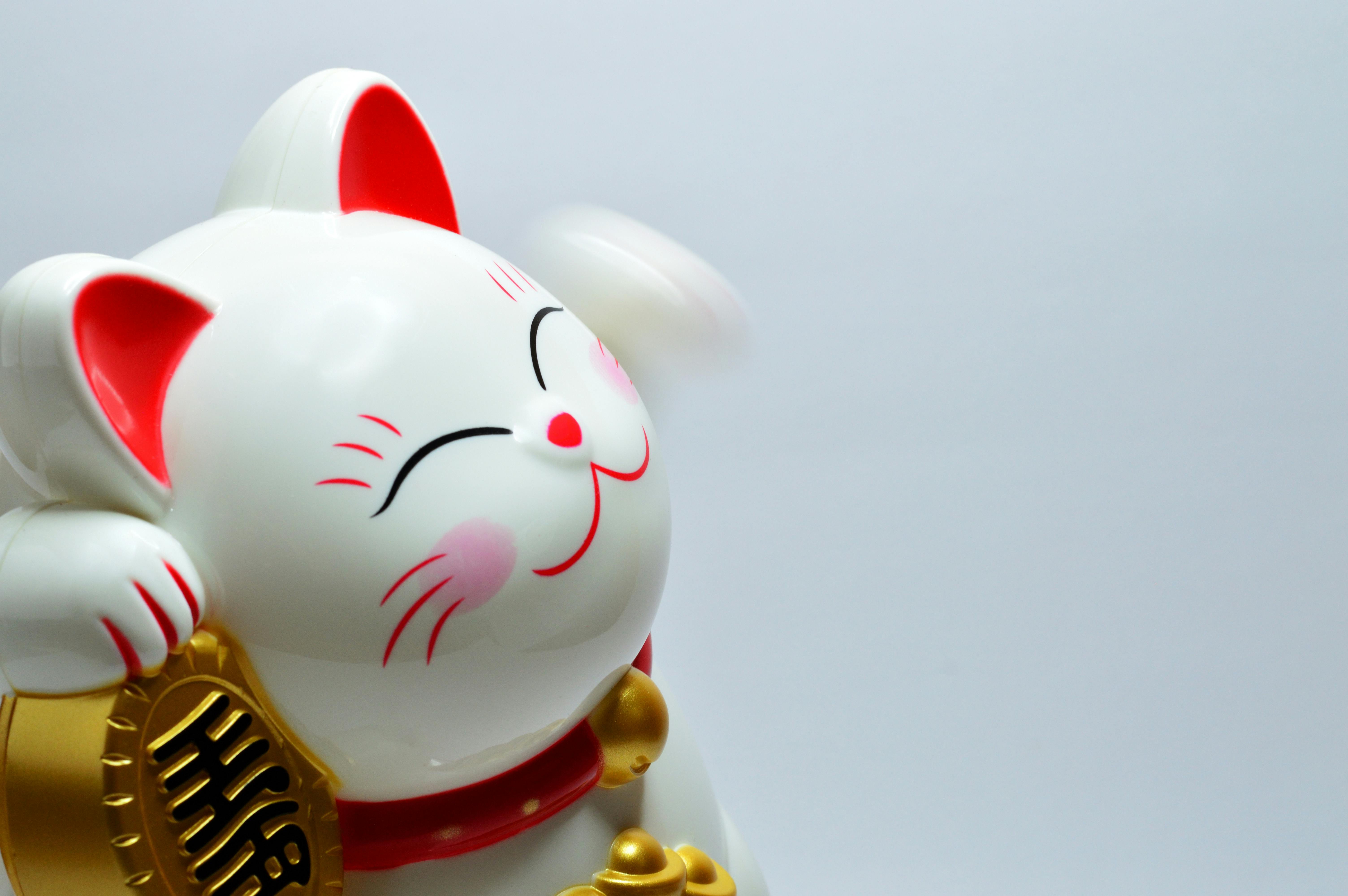 Fortune Cat Online para Android - Download