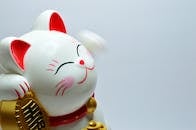 Japanese Lucky Coin Cat