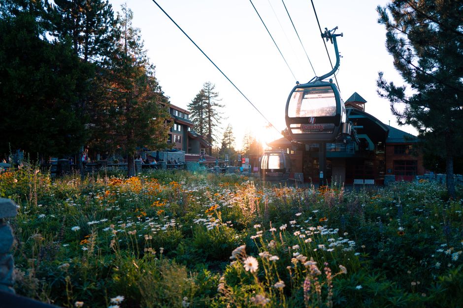 A picturesque gondola lift over a flowering meadow during sunset in Tahoe City, California.