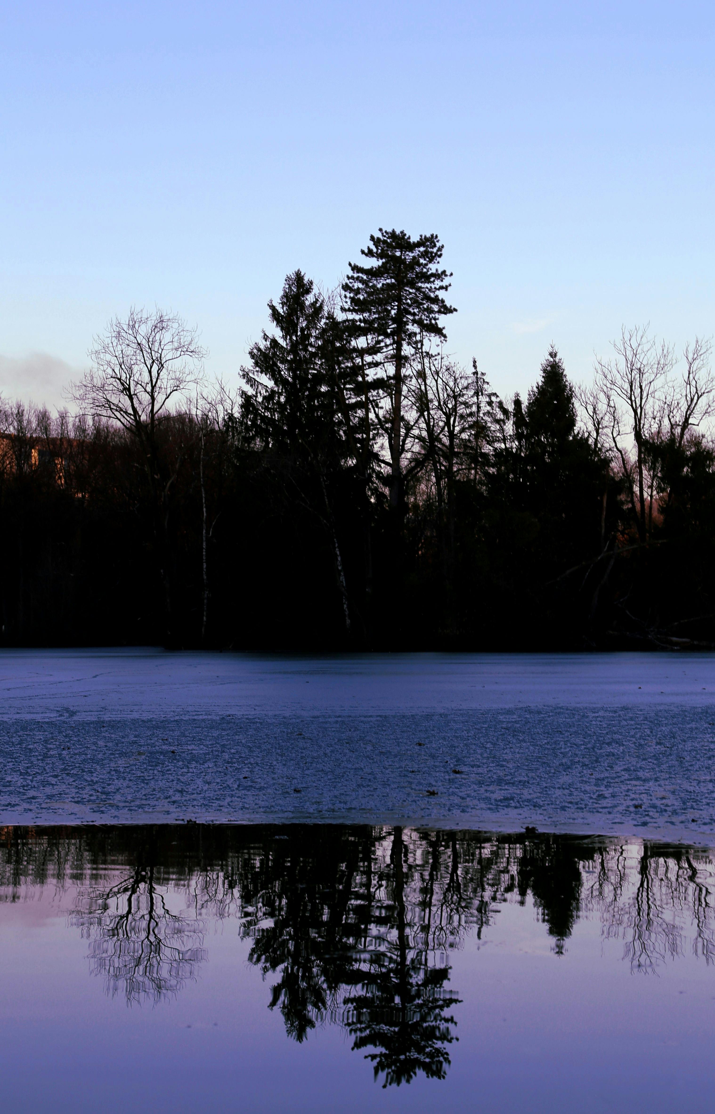 Free stock photo of blue sky, clear sky, evening - 3036 x 4730 jpeg 1614kB