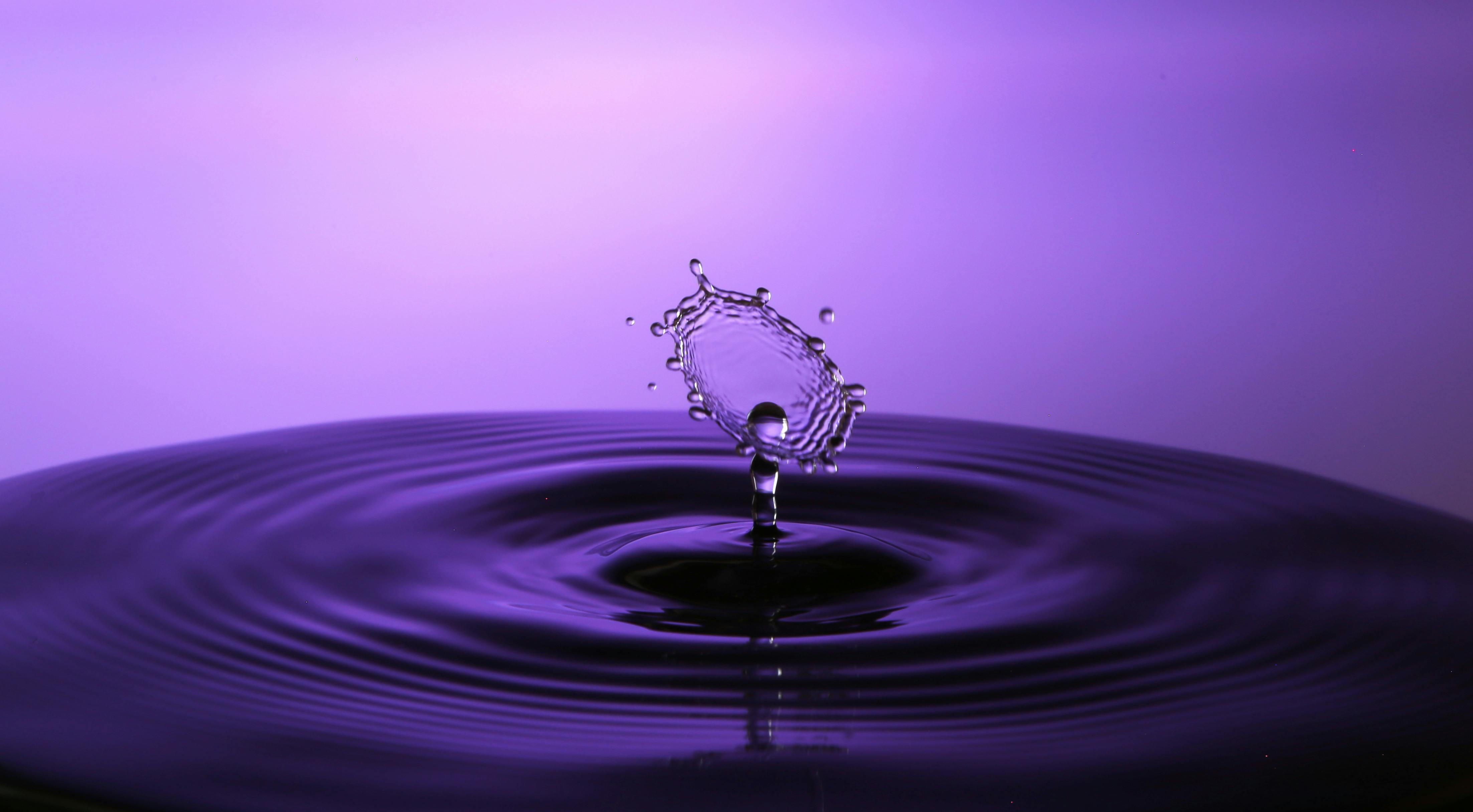 Free stock photo of drop, drop of water, drop photography