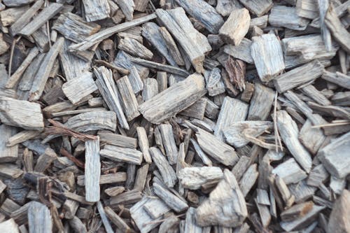 Free stock photo of bark, draft wood, dry
