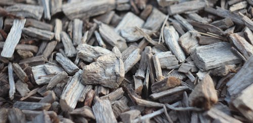 Free stock photo of bark, draft wood, dry