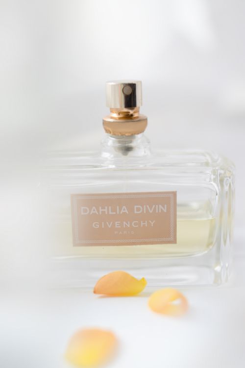 Free Elegant Givenchy Dahlia Divin perfume bottle on a soft white surface with flower petals. Stock Photo