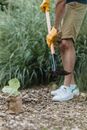 Free stock photo of bush, day, ecology