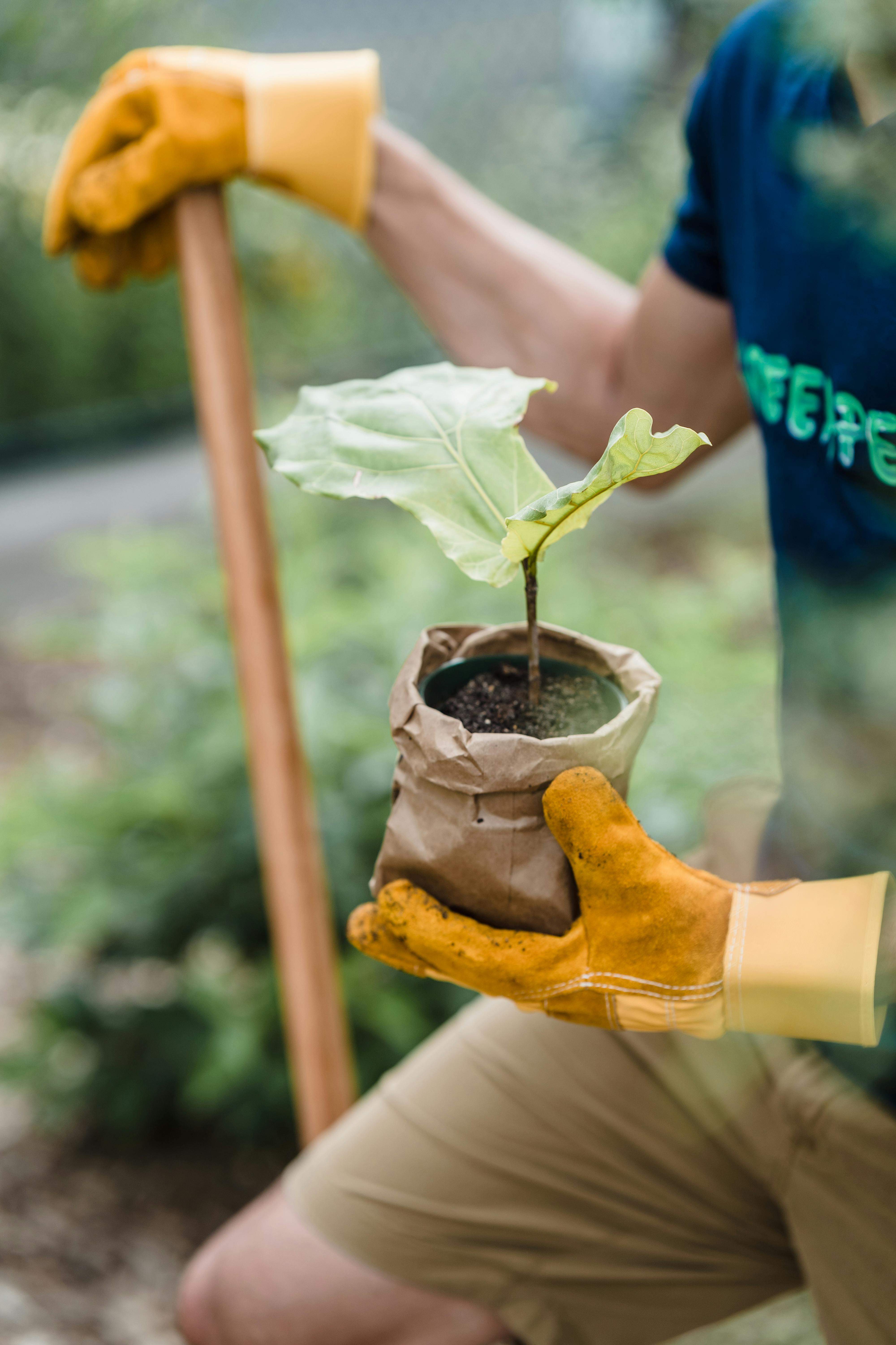 Advanced gardening apparel in use