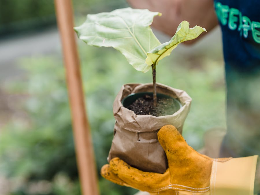 Photo by Lara Jameson