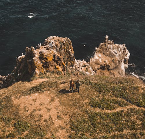 An Aerial Photography of People Standing on Green Grass Field Near the Ocean