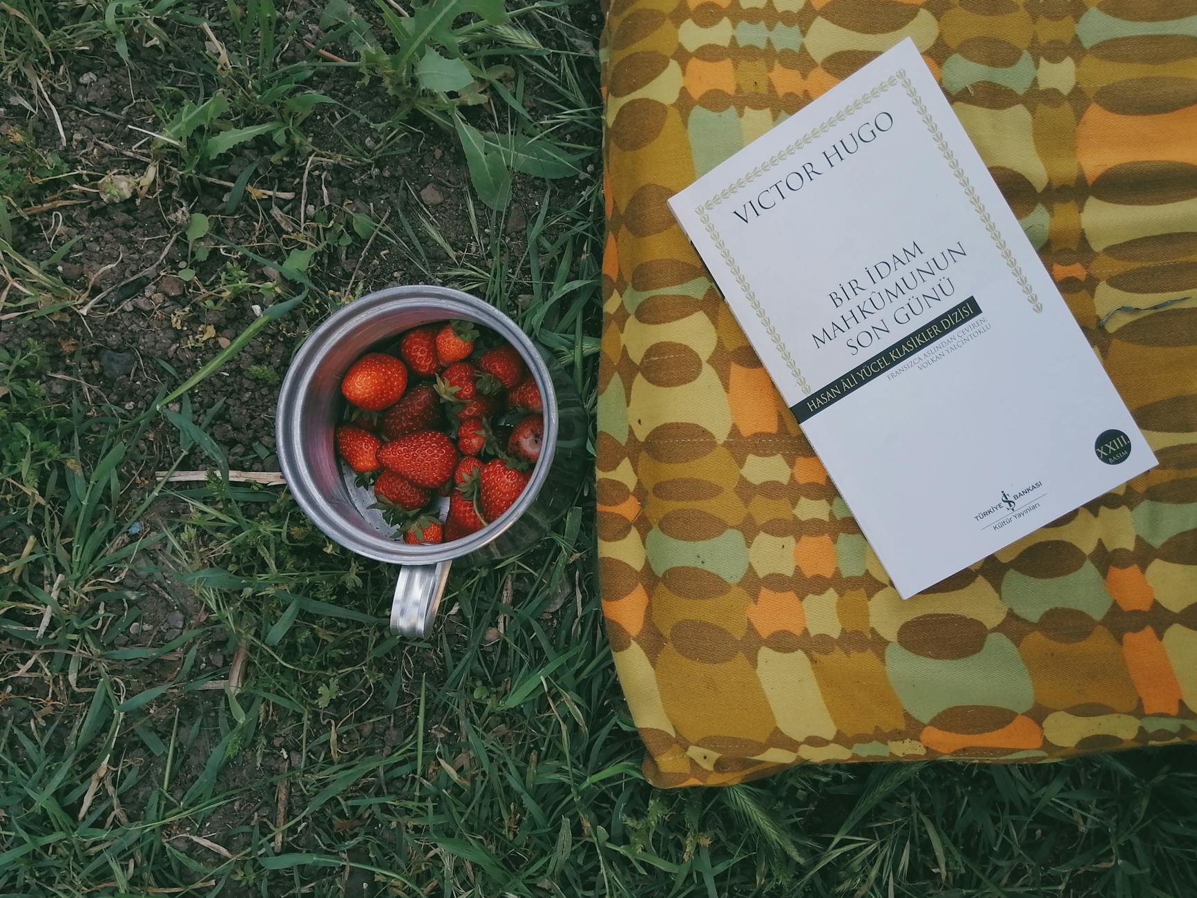 A relaxed picnic setting featuring a book and strawberries in a cup on grassy ground.