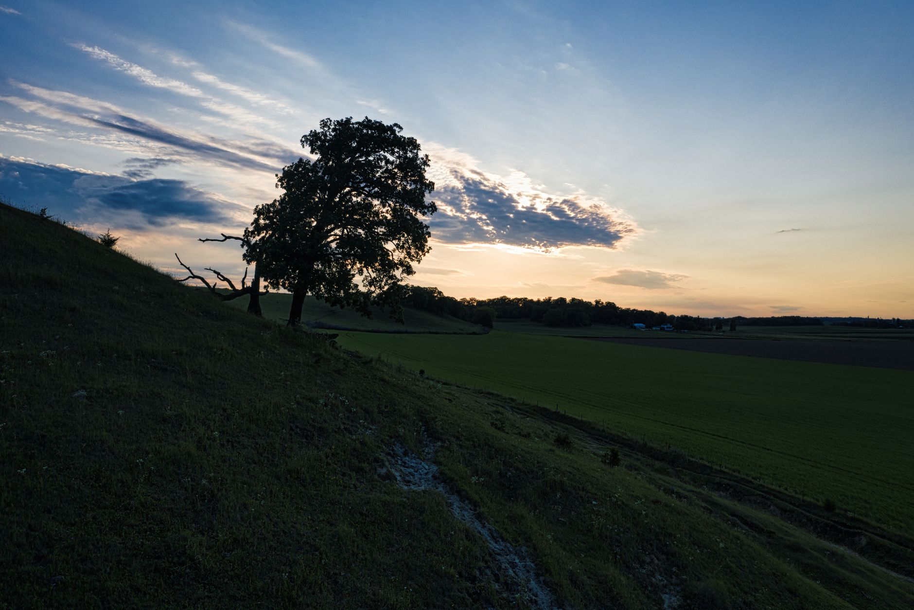 Cedar glades and limestone outcrops at Cross Plains State Natural Area