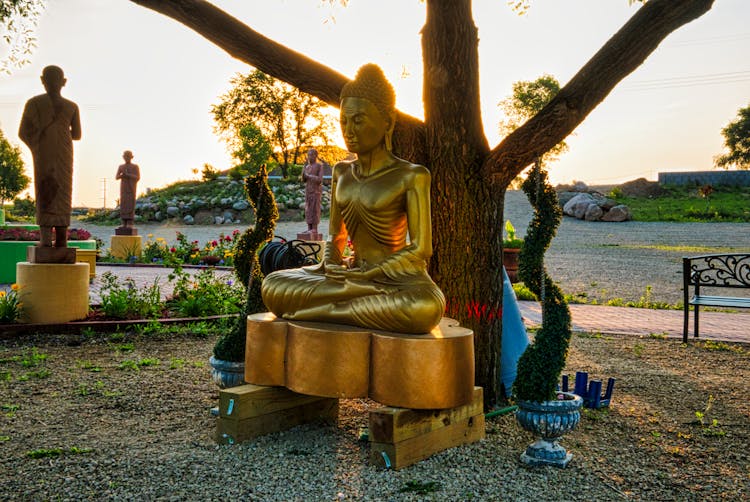 Golden Buddha Statue Under A Tree