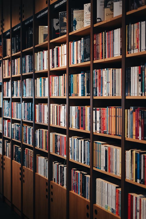 Shelves with Books in Bookshop