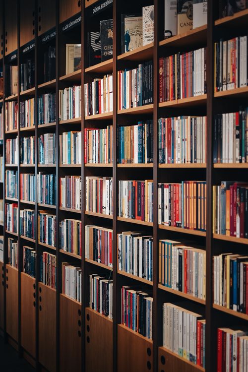Free Vertical shot of wooden bookshelves in a cozy bookstore, showcasing a diverse range of books indoors. Stock Photo