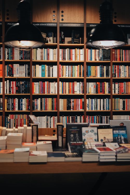 Free Explore a cozy bookstore with organized shelves and diverse literary collection. Stock Photo