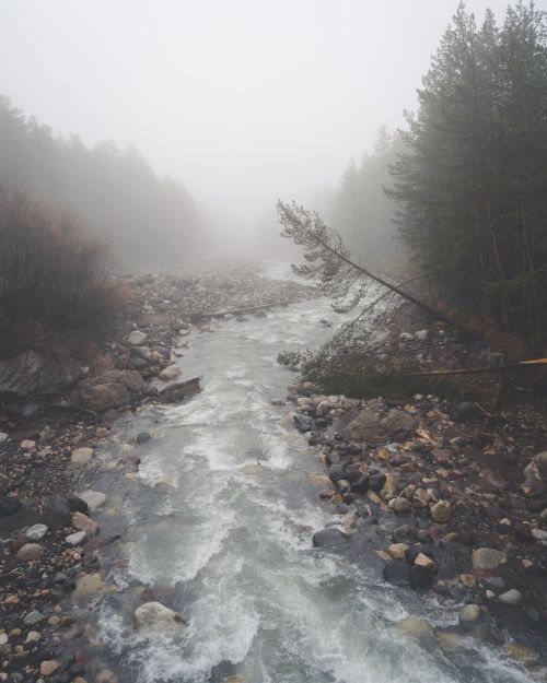 Free A serene foggy river flowing through a misty forest, surrounded by rocks and trees. Stock Photo
