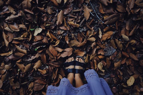 бесплатная Бесплатное стоковое фото с ноги, опавшие листья, сандалии Стоковое фото