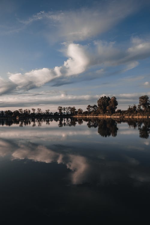 Photos gratuites de arbres, bord de lac, ciel bleu