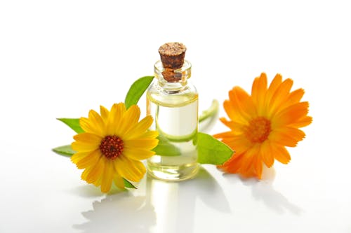 Základová fotografie zdarma na téma aromaterapie, barvy, detail