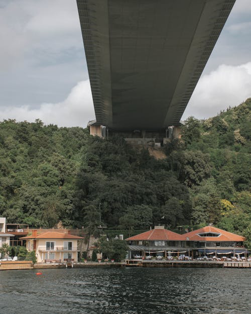 Kostenloses Stock Foto zu bäume, brücke, brücken