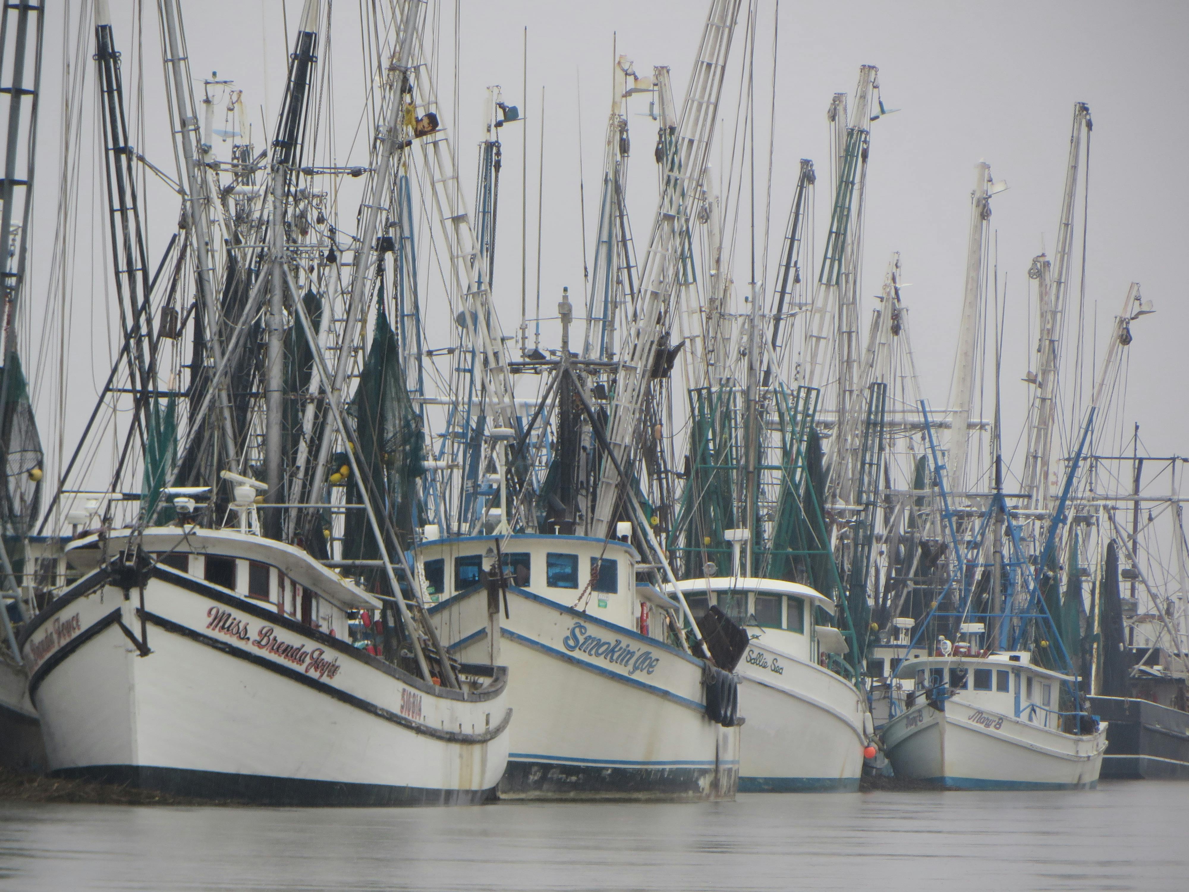 Free stock photo of amelia island, boat, boating