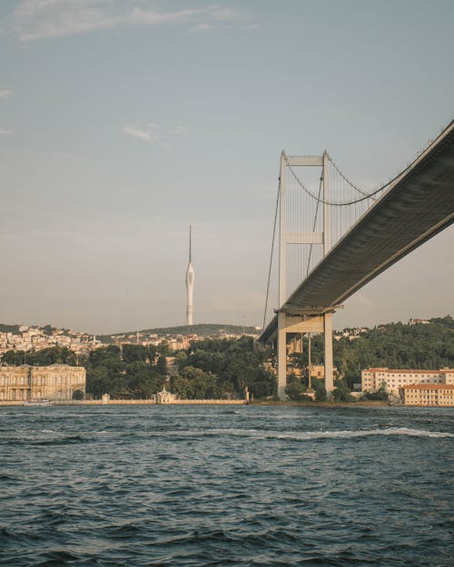 Kostenloses Stock Foto zu bäume, bosphorus, brücke