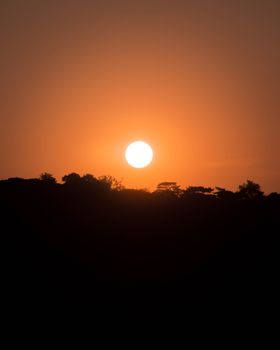 A tranquil view of the sun setting over a forest, casting a warm glow across the sky.