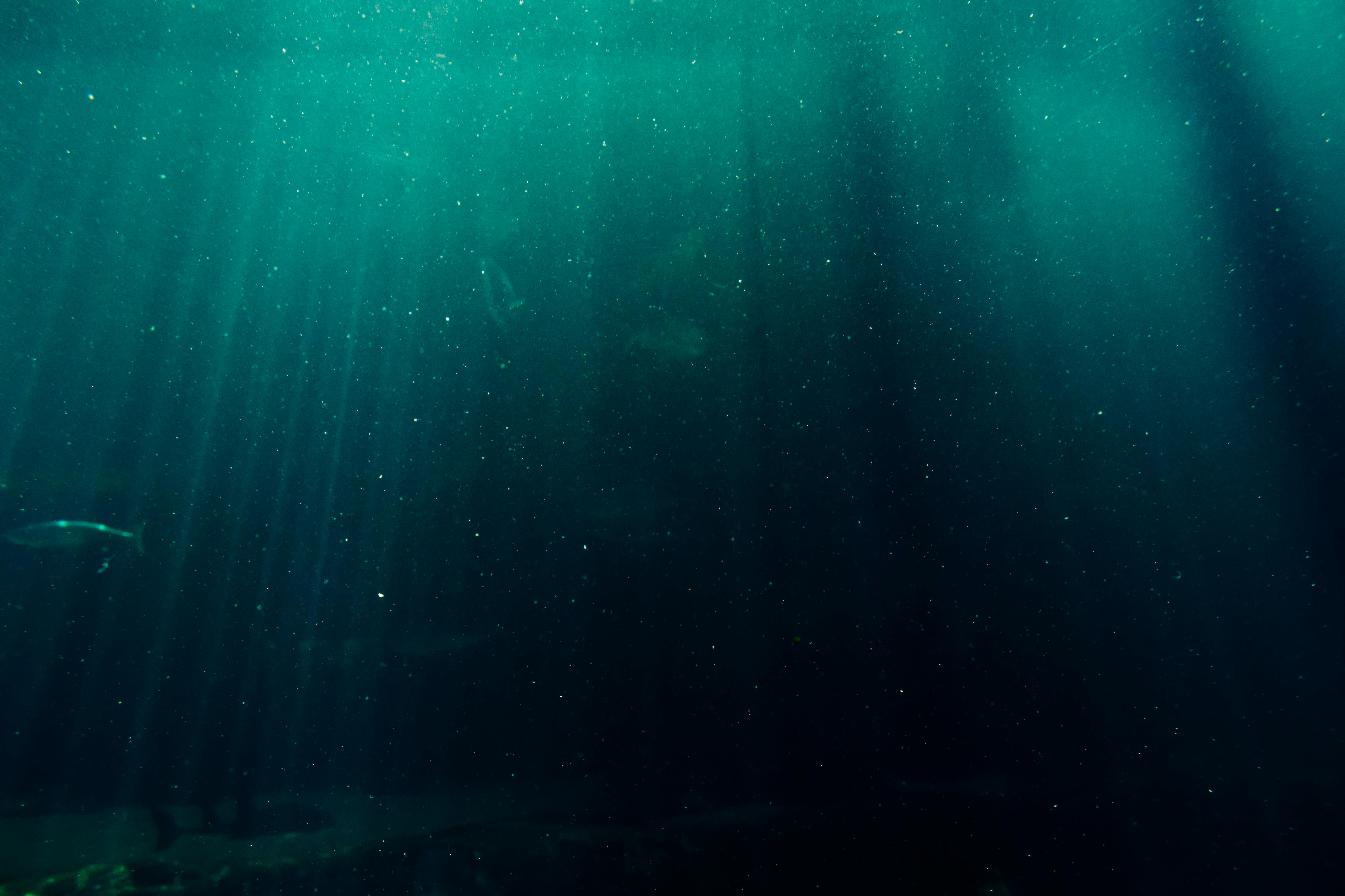 Deep sea water HD phone wallpaper  Peakpx