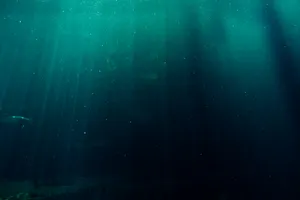 Bassin présentant l'environnement nommé Couloir des abysses