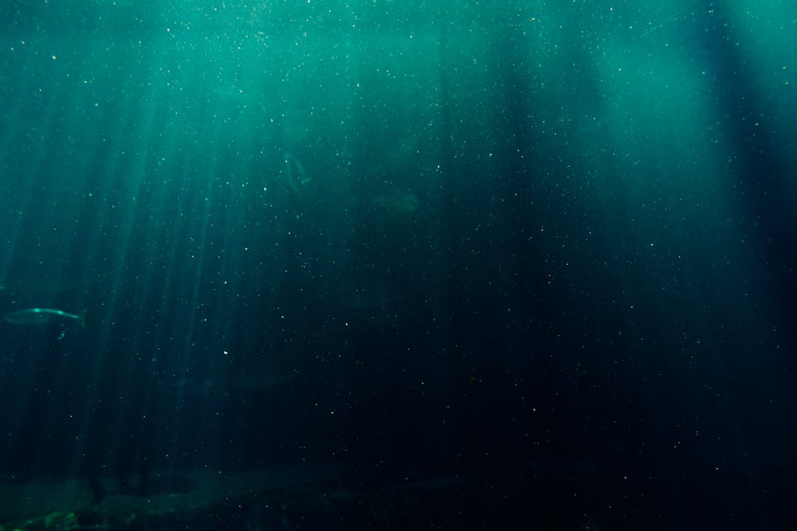 Free Underwater Photography of Deep Sea  Stock Photo