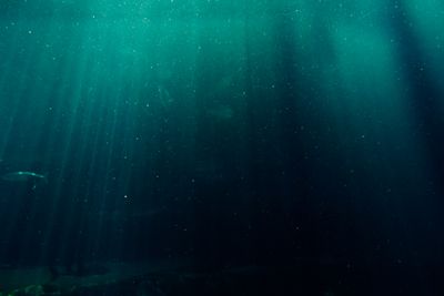 Sunlight rays penetrating the deep sea — photo by Blaque X on Pexels