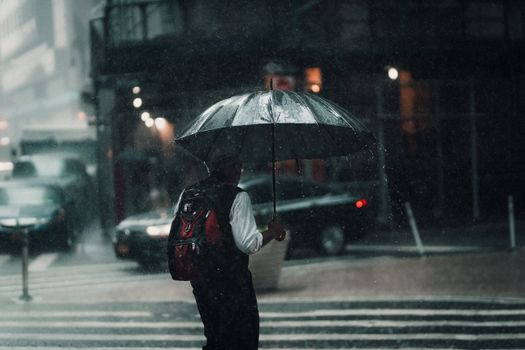 A man with an umbrella navigates a rainy New York City street, capturing urban life.