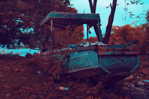 Rusty Brown and Gray Boat Near Trees and Body of Water