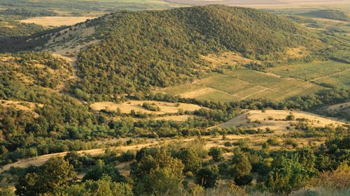 Free A picturesque aerial view of lush green fields and vineyards in the hills of Șiria, Romania. Stock Photo