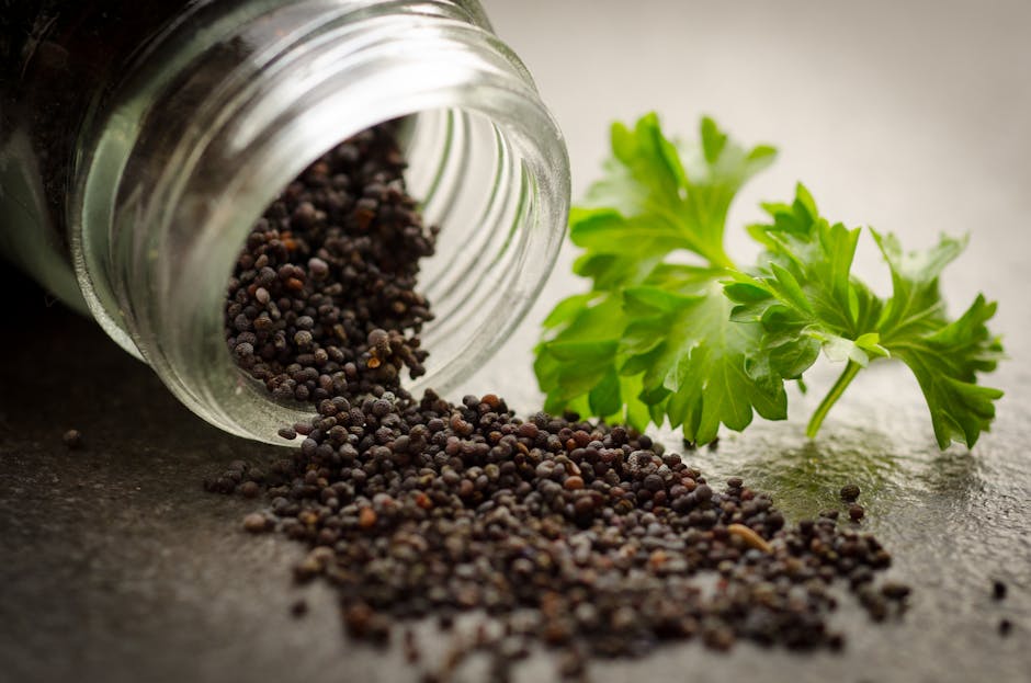 Aesop Parsley Seed Anti-Oxidant Serum