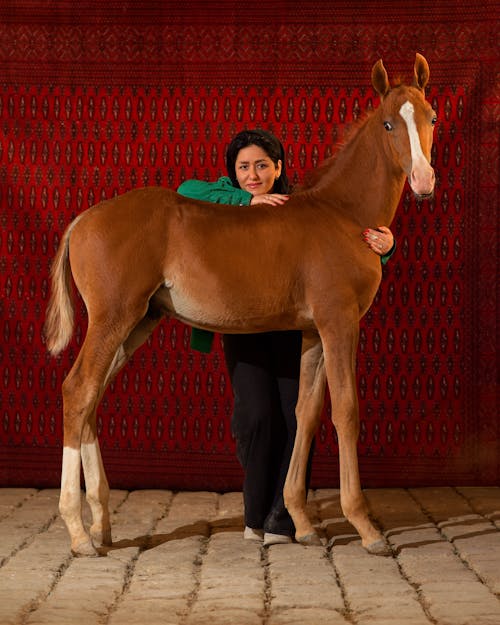 Woman in Green Long Sleeve Shirt Standing Beside Brown Horse