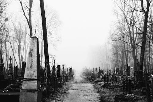 Free Grayscale Photography of Cemetery  Stock Photo