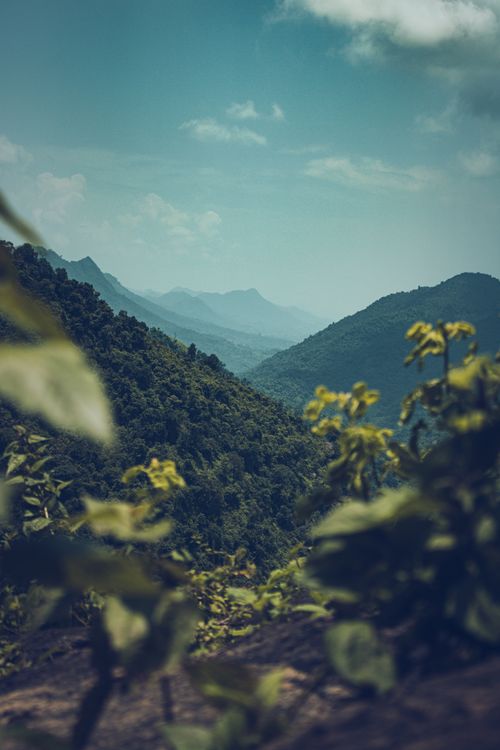 Free Serene landscape view of misty mountains and lush greenery on a clear summer day. Stock Photo