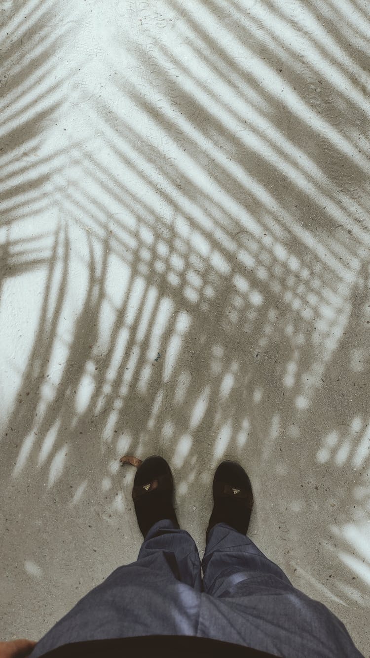 Man Legs On Ground With Palm Tree Shadow