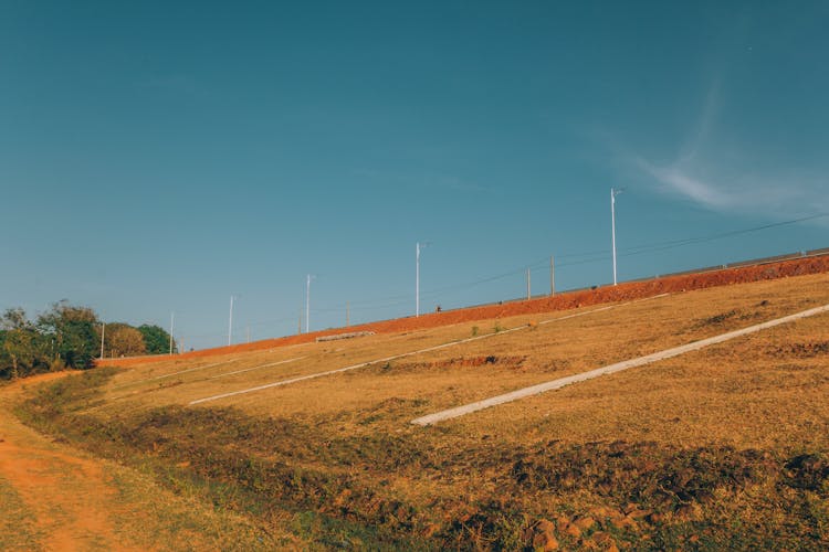 Lamp Posts Along The Road Dike