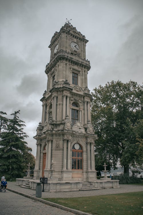 Tower with Clock Near Trees