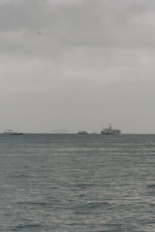 Foto d'estoc gratuïta de aigua, barques, embarcacions d'aigua