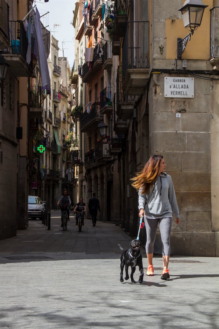 A Woman Walking With Her Dog 