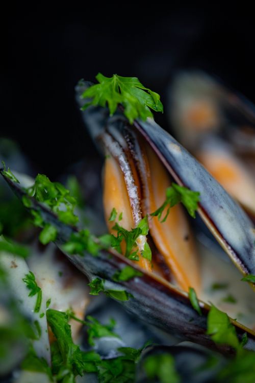 Free Close-up of mussels garnished with fresh parsley, showcasing gourmet seafood. Stock Photo