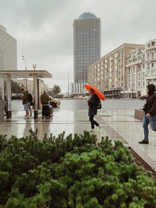 People Walking on City Street on Rainy Day