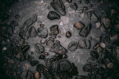 Close-Up Photograph of Wet Stones