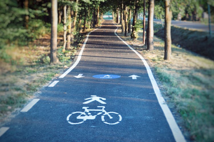 Bicycle Lane In Park