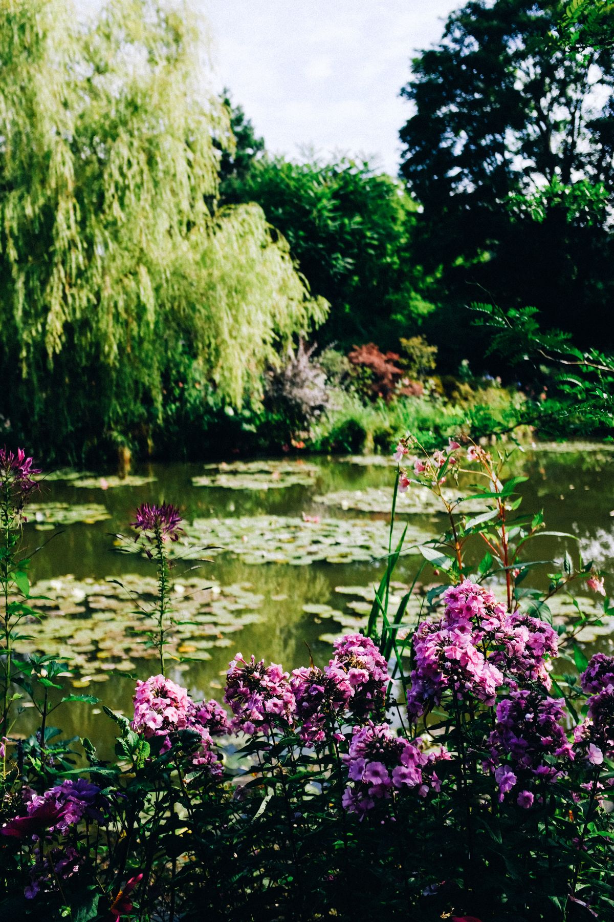 Monet's water garden at Giverny